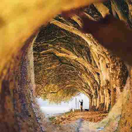 هایده ( ورژن هوش مصنوعی ) بمیرم من