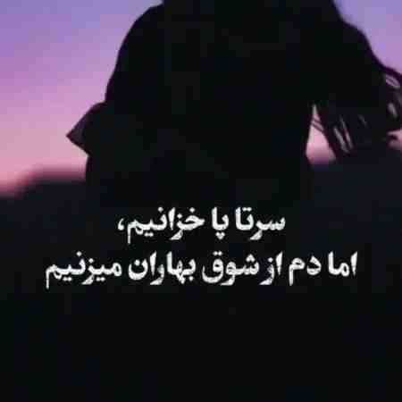 هایده ( ورژن هوش مصنوعی ) همین دیشب بازم خوابتو دیدم