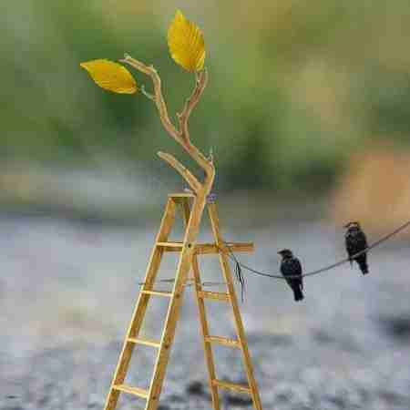 هایده ( ورژن هوش مصنوعی ) حکم