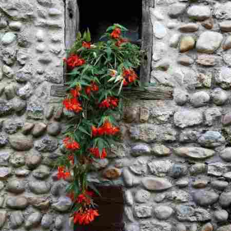 هایده ( ورژن هوش مصنوعی ) ستاره بارون