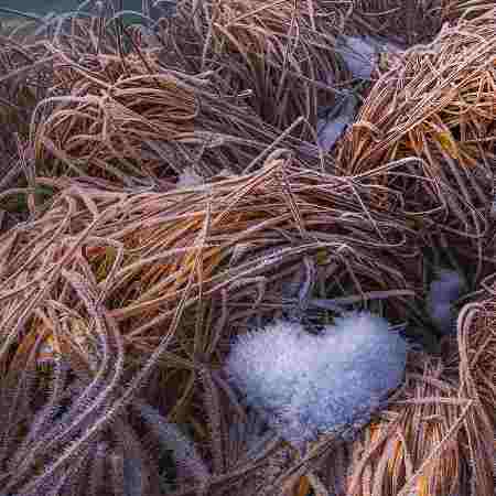 هایده ( ورژن هوش مصنوعی ) وقتیکه مثل شراب مست مستم میکنی