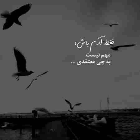 هایده ( ورژن هوش مصنوعی ) واسه دوست داشتنت تموم دنیا رو میدم