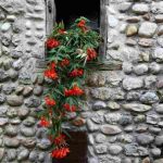 دانلود آهنگ هایده ( ورژن هوش مصنوعی ) به نام ستاره بارون دانلود آهنگ هایده ( ورژن هوش مصنوعی ) به نام ستاره بارون