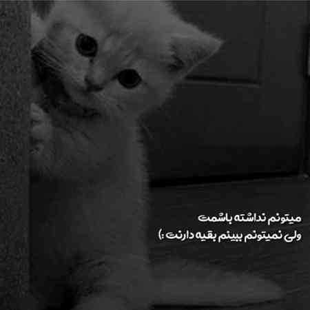 حمیرا ( ورژن هوش مصنوعی ) اگر پر پیچ وخم باشه