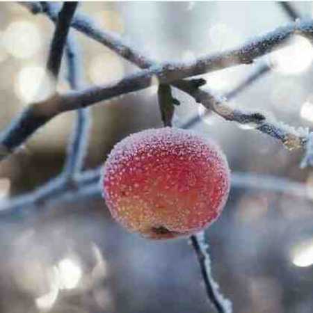 مهستی ( ورژن هوش مصنوعی ) از عشق که میگی حرفات شیرینه