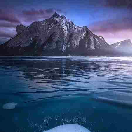 مهستی ( ورژن هوش مصنوعی ) بازم ایران بهاره یه دامن لاله زاره