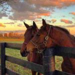دانلود آهنگ مهستی ( ورژن هوش مصنوعی ) به نام داره عشق میچکه