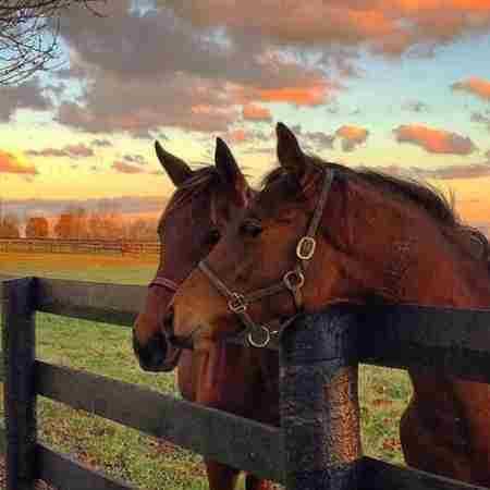 مهستی ( ورژن هوش مصنوعی ) داره عشق میچکه