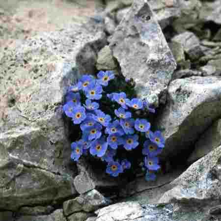 مهستی ( ورژن هوش مصنوعی ) پشیمان