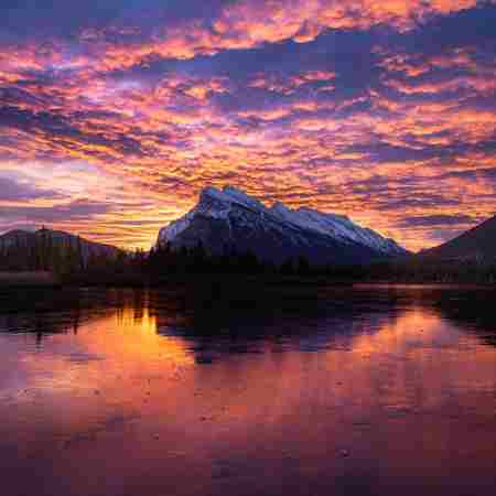 مهستی ( ورژن هوش مصنوعی ) وای دلم تنگه برات