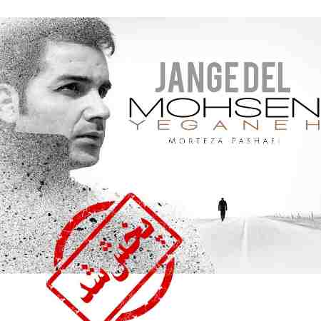 محسن یگانه و مرتضی پاشایی ( ورژن هوش مصنوعی ) جنگ دل