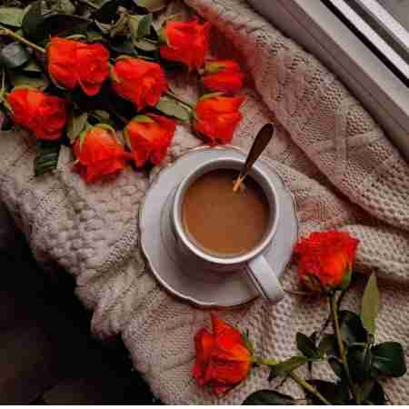 گوگوش ( ورژن هوش مصنوعی ) غمت نباشه همسفر