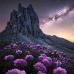 دانلود آهنگ گوگوش ( ورژن هوش مصنوعی ) به نام کمکم کن که دیگه وقت راهی شدنه