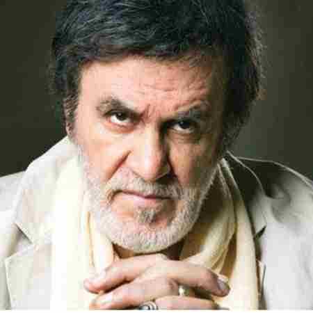 حبیب ( ورژن هوش مصنوعی ) منو ببر به لحظه ای که اولین بار دیدمت