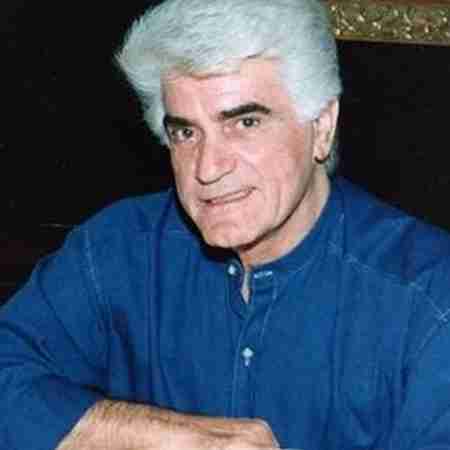 هایده و ویگن ( ورژن هوش مصنوعی ) تو اون همه ویرونه