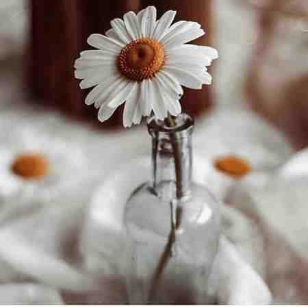 هایده ( ورژن هوش مصنوعی ) اگه اون آدم سابق نشم چی