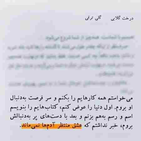 هایده ( ورژن هوش مصنوعی ) عزیزم یه حدی داره