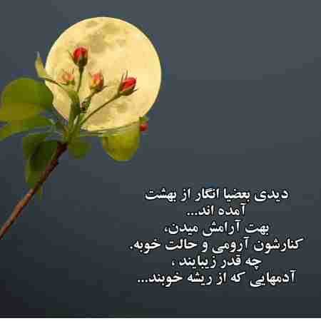 هایده ( ورژن هوش مصنوعی ) فلک کارش همینه