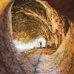 دانلود آهنگ هایده ( ورژن هوش مصنوعی ) به نام هفت آسمان را بر درم