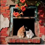 دانلود آهنگ هایده ( ورژن هوش مصنوعی ) به نام حسرت