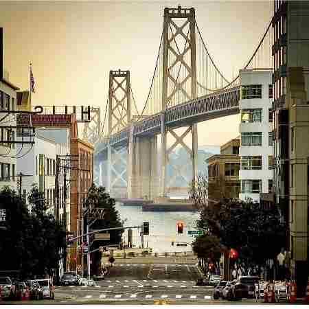 هایده ( ورژن هوش مصنوعی ) حتی باغبون نفهمید 