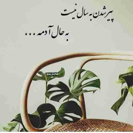 هایده ( ورژن هوش مصنوعی ) ماه زیبا رو