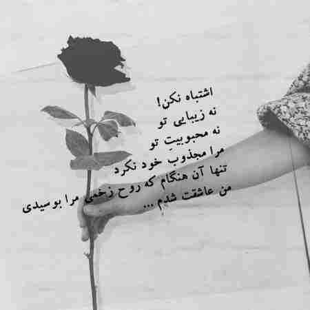 هایده ( ورژن هوش مصنوعی ) نه شوق شاعرانه ای