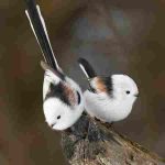 دانلود آهنگ هایده ( ورژن هوش مصنوعی ) به نام نگو نگو نمیام