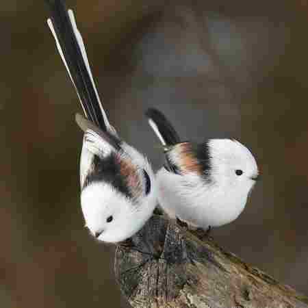 هایده ( ورژن هوش مصنوعی ) نگو نگو نمیام