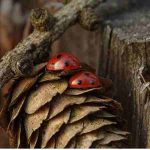 دانلود آهنگ هایده ( ورژن هوش مصنوعی ) به نام بی گمان آمدم دانلود آهنگ هایده ( ورژن هوش مصنوعی ) به نام بی گمان آمدم