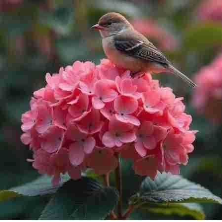 لیلا فروهر ( ورژن هوش مصنوعی ) به دام تو که افتادم