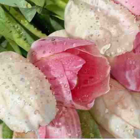 لیلا فروهر ( ورژن هوش مصنوعی ) شو ببار وروز ببار