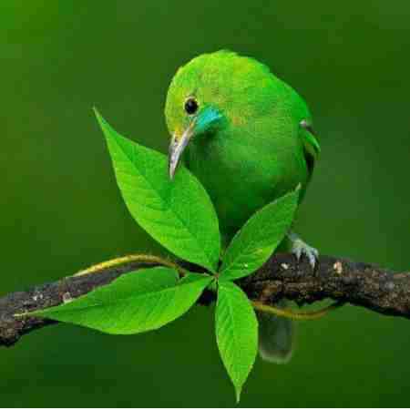 مهستی ( ورژن هوش مصنوعی ) عجب دریا دلی هستم