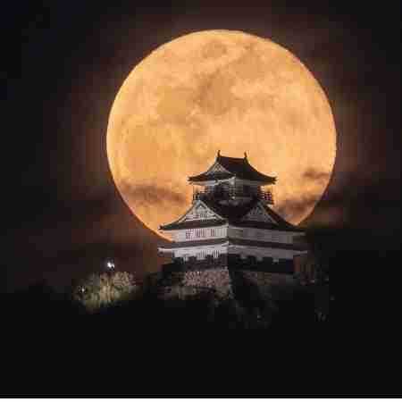 مهستی ( ورژن هوش مصنوعی ) یک روز پیدات میکنم