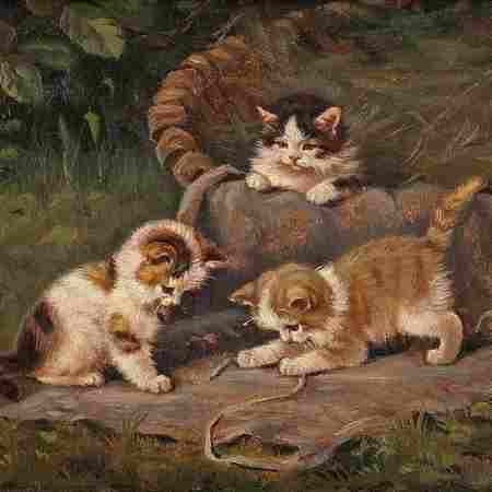 شکیلا ( ورژن هوش مصنوعی ) دلیجان عشق