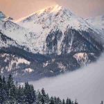 دانلود آهنگ سوسن ( ورژن هوش مصنوعی ) به نام دو قطره شبنم اومد