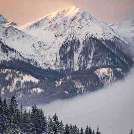 سوسن ( ورژن هوش مصنوعی ) دو قطره شبنم اومد