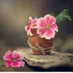 دانلود آهنگ هایده ( ورژن هوش مصنوعی ) به نام ادم و حوا