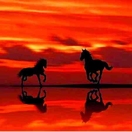 هایده ( ورژن هوش مصنوعی ) آفتاب سر کوه نور افشونه