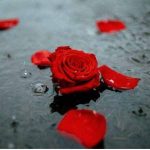 دانلود آهنگ هایده ( ورژن هوش مصنوعی ) به نام در تو فنا گشتن خوش است