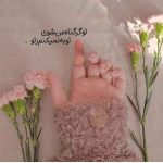 دانلود آهنگ هایده ( ورژن هوش مصنوعی ) به نام دلت میاد که عشق من بمیره