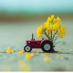 دانلود آهنگ هایده ( ورژن هوش مصنوعی ) به نام ماندگار