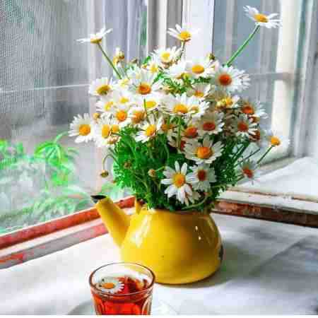 مهستی ( ورژن هوش مصنوعی ) هدیه کن به چشم هام یه نگاه تازه