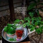 دانلود آهنگ مرجان ( ورژن هوش مصنوعی ) به نام چرا از خود نمی پرسيم