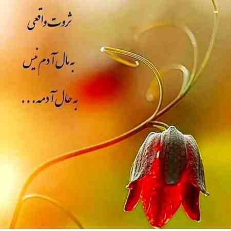 پوران ( ورژن هوش مصنوعی ) تو ای آهو