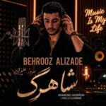دانلود آهنگ بهروز علیزاده به نام تو که شاهرگ منی دانلود آهنگ بهروز علیزاده به نام تو که شاهرگ منی