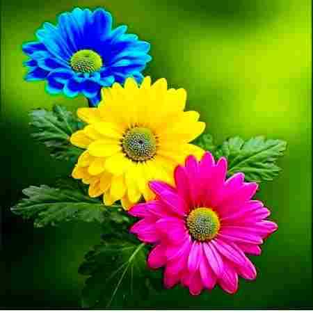 الهه ( ورژن هوش مصنوعی ) یاد یار مهربان آید همی