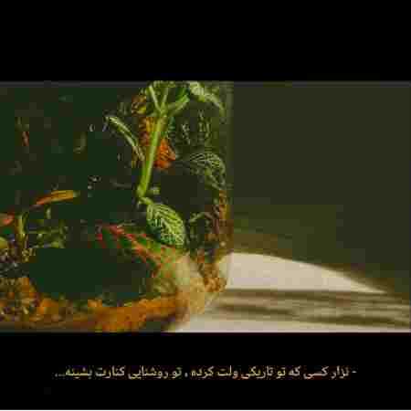 گوگوش ( ورژن هوش مصنوعی ) خلاف کعبه چرخیدیم
