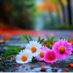 دانلود آهنگ هایده ( ورژن هوش مصنوعی ) به نام خواهم که شبی