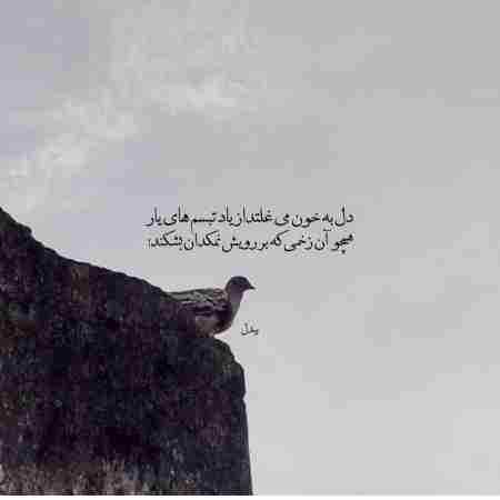 هایده ( ورژن هوش مصنوعی ) سرم گیچ میره هی